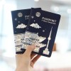 Stylekorean [Stylekorean]Korea Classic Nacre Passport Case