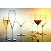 Luigi Bormioli Atelier 9.25 oz Champagne Glasses, 6 Count (Pack