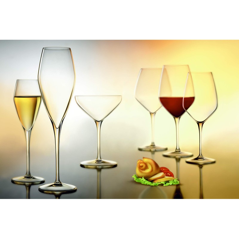 Luigi Bormioli Atelier 9.25 oz Champagne Glasses, 6 Count (Pack
