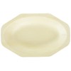 Perfectstix 8 inch oval compostable plates- pack of 50 count