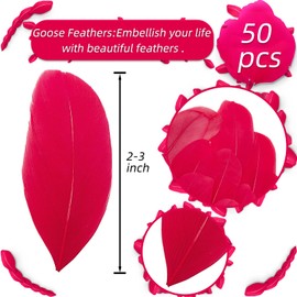 50 Pcs Red Craft Feathers, Natural Assorted Colors Goose Feathers for Hats, 2-3 Inch Small Feathers for Crafts, DIY Christmas Hallowmas Thanksgiving Mask Centerpiece Feather