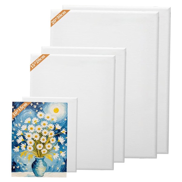 CEWROM Leinwand Set, 6 Stück Leinwand zum Bemalen 30x20,20x15,15x10 cm