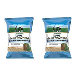 Jonathan Green Blue Panther Kentucky Blue Grass Seed, 3-Pound (2 Pack)