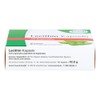 Lecithin Capsules