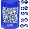 Fruidles Dinosaur Tattoo Lollipop Suckers Candy, Great for Goody Party