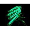 Lobo Lures SquidNation Billfish Edition Longtail Flippy Floppy Pakula Edition