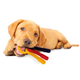Puppy Teething Keys, Rings or Pacifiers Durable Dog Dental Health Colorful Chew Toys (5.5" XSmall Teething Keys)