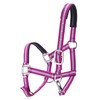 Adjustable Horse Headcollar, Training Halter, Heavy Duty Nylon Padded with