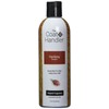 The Coat Handler Clarifying Shampoo 16 oz.