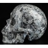 Skullis 5.0”Larvikite Crystal Skull, Hand Carved Gemstone Fine Art Sculpture,