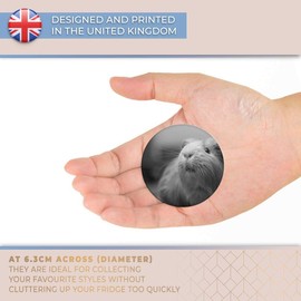 Destination Vinyl ltd Magnet for Refrigerator, Fridge BW - Cute Ginger Guinea Pig Animals Pets for Office, Cabinet and Whiteboard, Magnetic Stickers, 41036