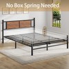 LUBEDCY Queen Size Metal Platform Bed Frame, Mattress Foundation with