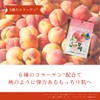 TOOSTY x Chamislu Peach Sheet Mask, 7 Pieces | Elastic