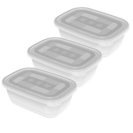 Rotho Freeze Set of 3 Freezer Containers 1 Litre with Lid, Plastic (PP) BPA-Free, Transparent, 3 x 1 L (19.5 x 13.5 x 10.0 cm), Not Applicable