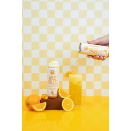 Wild Bill's 4 Flavor Craft Soda Soft Drinks Variety Pack, Root Beer, Black Cherry, Orange + Vanilla Sodas, Pure Cane Sugar, Caffeine Free, NO High Fructose Corn Syrup, Gluten Free Vegan, 12 Oz 12 Pack