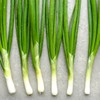 100% 국산 대파가루 75g 100% Domestic Green Onion Powder 75g