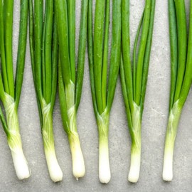 100% 국산 대파가루 75g 100% Domestic Green Onion Powder 75g