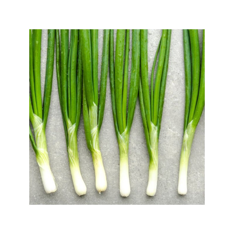 100% 국산 대파가루 75g 100% Domestic Green Onion Powder 75g