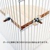 Audiophan Perch Stage, Small Birds, Parakeets, Resting Area, 3.9 x