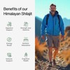Kapiva Himalayan Shilajit Resin 30 Grams (Pack of 2)