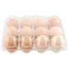 JAPCHET 100 Pack Plastic Egg Cartons, Clear 12 Egg Cartons