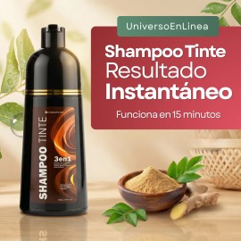 Shampoo Tinte Retoca Raíz Hair 500ml Cubre Canas Natural