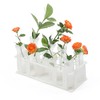 10Pcs 60ML Floral Tubes, Large Flower Water Tubes for Milkweed