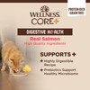 Wellness CORE+ Digestive Health Grain-Free Natural Wet Cat Food, Sensitive