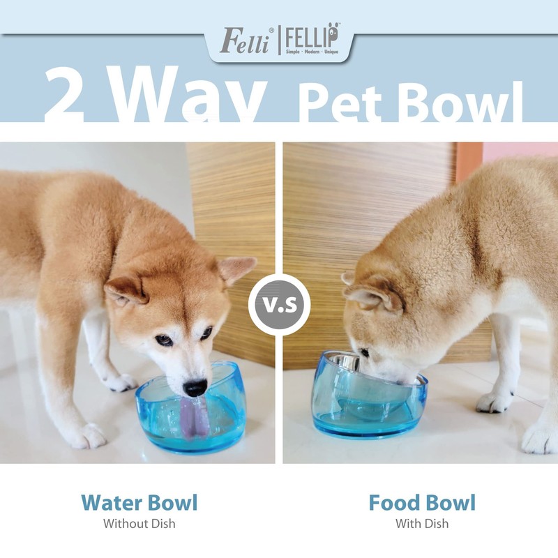 Felli Pet Oblik Slanted Dog Food Water Bowl Elevated Stainless