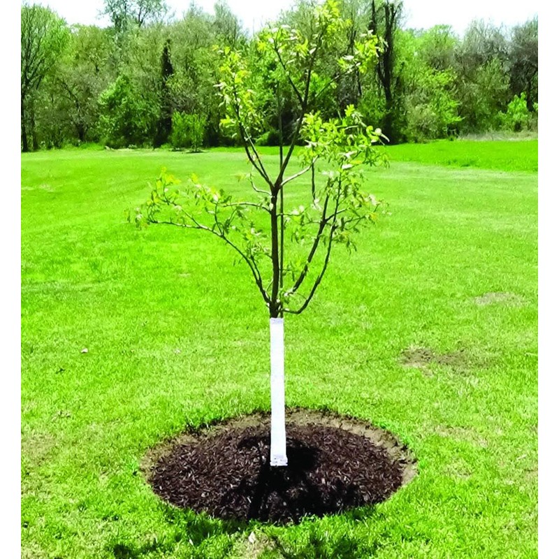 Tree Wrap, 3 In x 50 Ft