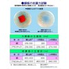 Shinkodo Washbasin Diameter 10.6 inches (27 cm), Made in Japan,