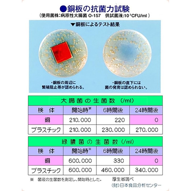 Shinkodo Washbasin Diameter 10.6 inches (27 cm), Made in Japan,