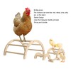 Chick Perch Paw Grinding Stable Structure Arch Shape Wooden Chicken