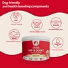 Hip & Joint Supplement for Dogs – Advanced Mobility Support