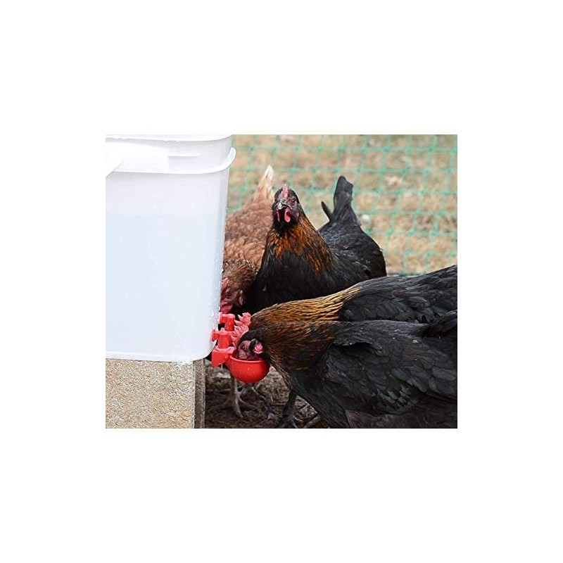 RentACoop Automatic Chicken Water Cup Waterer Kit for Poultry -