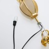 Hanging Lantern (Hanging Lantern) Dedicated Cord (2 Bulbs Included)