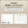 BCAA Powder 2 x 300 g Green Apple – Test