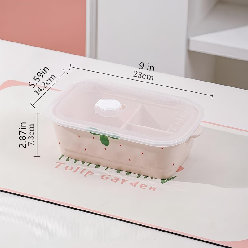 Ceramic Lunch Box, Divided and Covered Lunch Box with Good