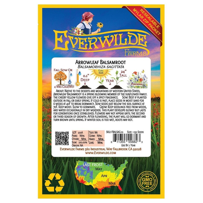 Everwilde Farms - 150 Arrowleaf Balsamroot Native Wildflower Seeds -