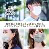 レック 極細耳ひも マスク ふわるん (ふつうサイズ 30枚入) STYLISH 3色セット / 体温でやわらかくなり