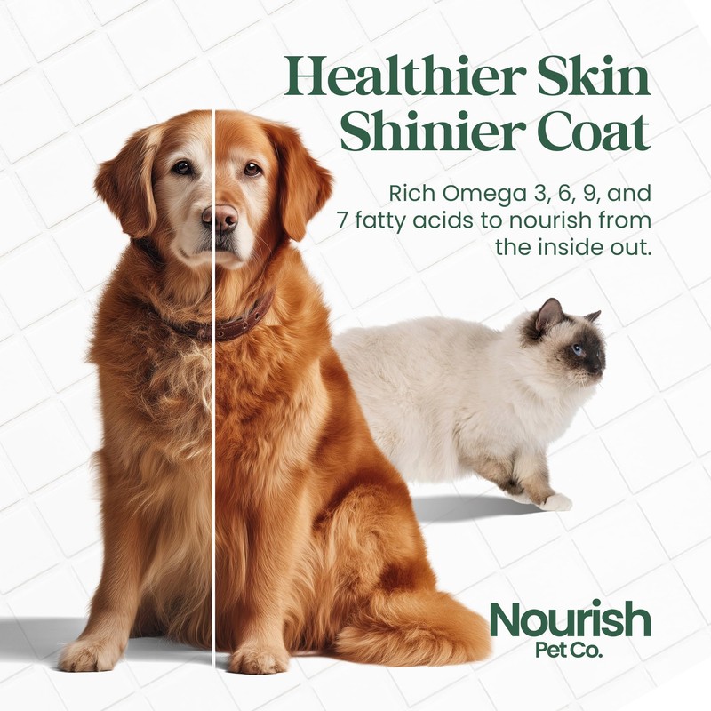Nourish Pet Co. Phytoplankton Omega & Multi for Dogs &