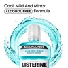 Listerine Cool Mint Alcohol Free Mouthwash, Oral Rinse Kills 99.9%