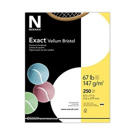 Exact Vellum Bristol, 8.5" x 11", 67 lb/147 GSM, White, 94 Brightness, 250 Sheets (80218)