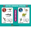 Fun Card English Adjectives, Comparatives and Superlatives (educational flash cards