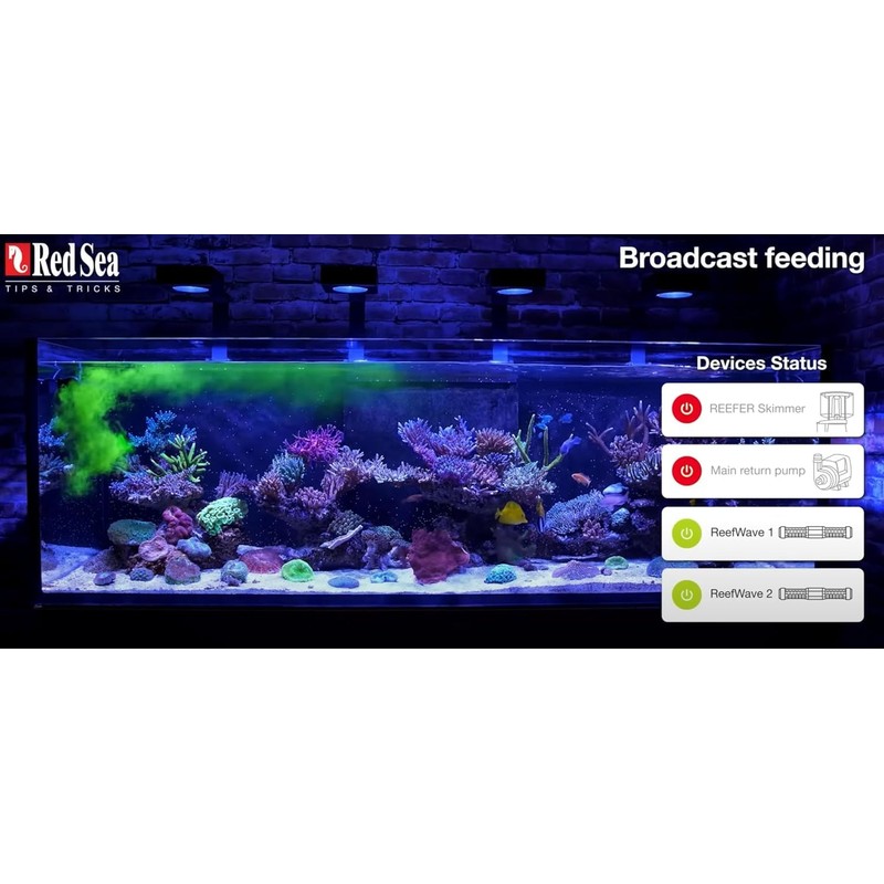 Red Sea Reef Energy Plus AB+ 250 ml