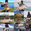Maxcatch New Magnetic Back Fly Box Clear Waterproof Fly Fishing