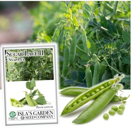 Sugar Lace II Snap Pea Seeds for Planting, 50+ Heirloom Seeds Per Packet, (Isla's Garden Seeds), Non GMO Seeds, Botanical Name: Pisum sativum, Packaged for 2024 Growing Season