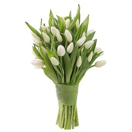 KaBloom PRIME NEXT DAY DELIVERY - Bouquet of 20 White Tulips.Gift for Birthday, Sympathy, Anniversary, Get Well, Thank You, Valentine, Mother’s Day Fresh Flowers