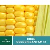 Southern Seeds Corn, Golden Bantam (12 Row) seeds - Heirloom
