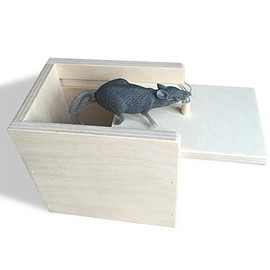 Glori-Be Hilarious Scare Box Mouse Prank - Wooden Scarebox Joke Trick for Strangers Fun, Inexpensive, and Unique! Let The Chuckles, snorts, Giggles, and Laughs Begin!